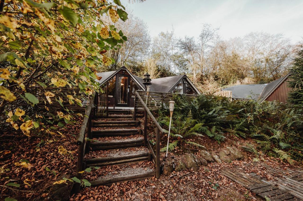 Chalet Scandinave Avec Sauna Ir - In The Woods Gesves Exterior foto
